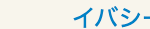 イバシー