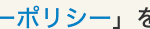 ーポリシー」 を